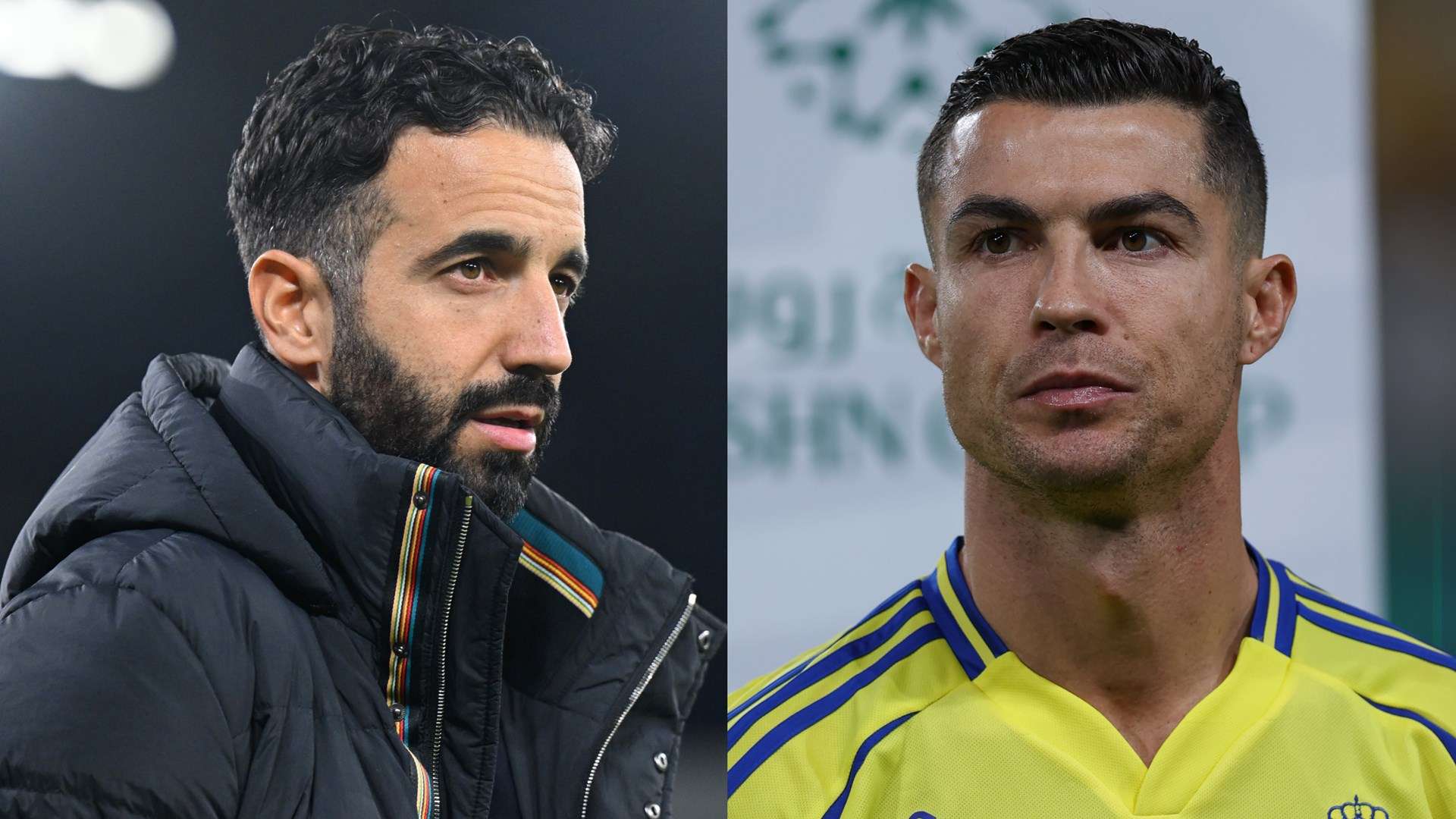 整体表现 整体表现